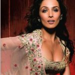 Malaika Arora Khan In Saree