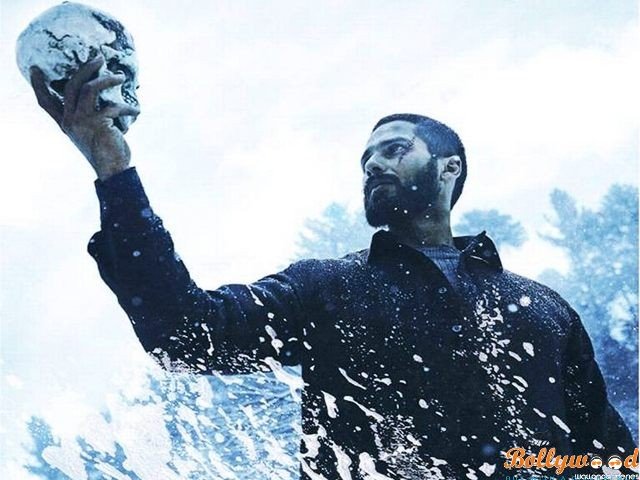 haider review