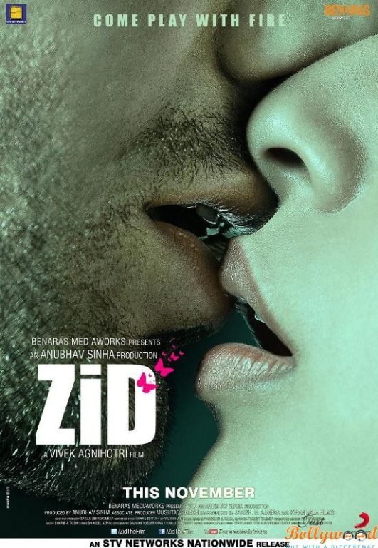 zid first look