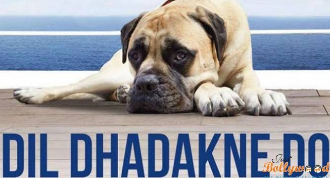 Dil-Dhadakne-Do- Dog Pluto comes on twitter_6