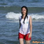 Bhanushree Mehra   wallpaper