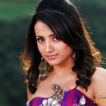 Trisha Krishnan HD Wallpaper