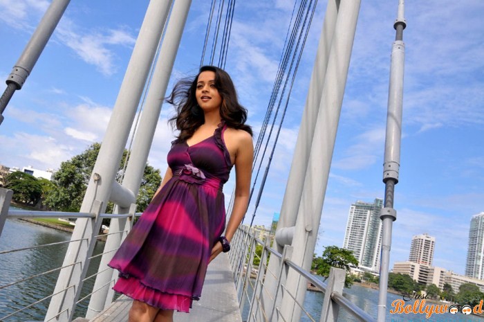 Bhavana Menon HD Wallpaper