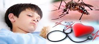 Effective   for Dengue to be Launched Soon