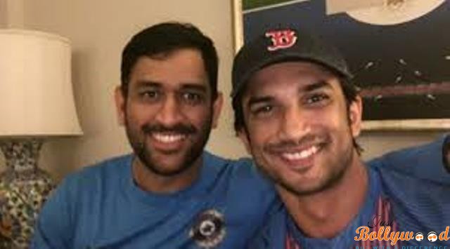 shushant and dhoni