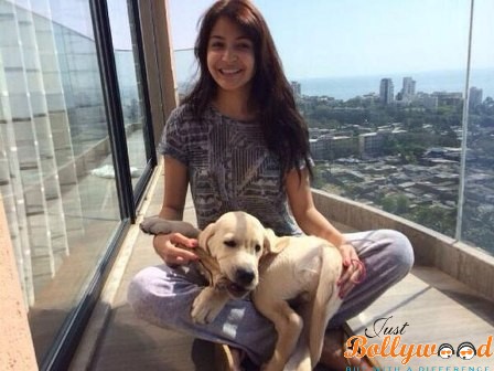 Anushka Sharma pets