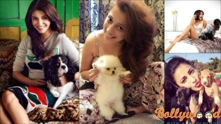 bollywood celebs and their pets
