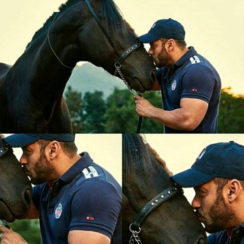 sabak horse salman