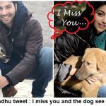 varun dhawan & banita sandhu