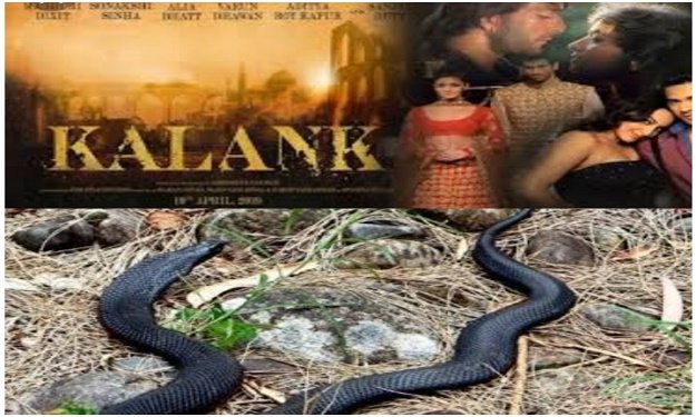 Snake On Kalank Movie Set