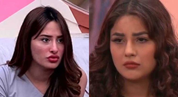 Mahira Sharma Bigg Boss 13