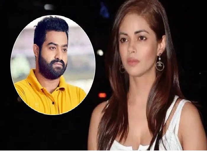 meera jr ntr