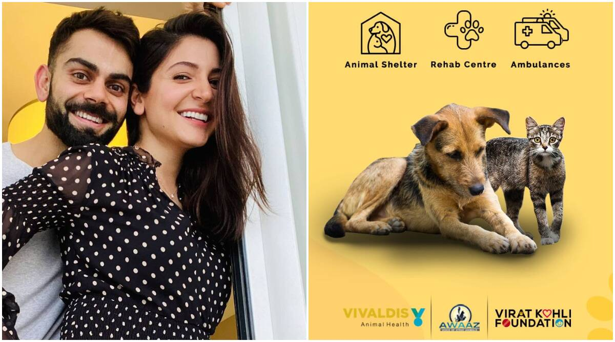 Anushka Sharma and Virat Kohli opens two animal centres