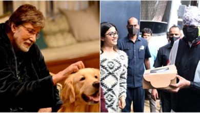 Amitabh-Bachchan-introduced goodbye actor