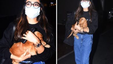Rashmika Mandanna arrives in Mumbai with her cute pet to resume the shoot of Goodbye
