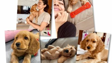 Screenshot 20210606 165130 01