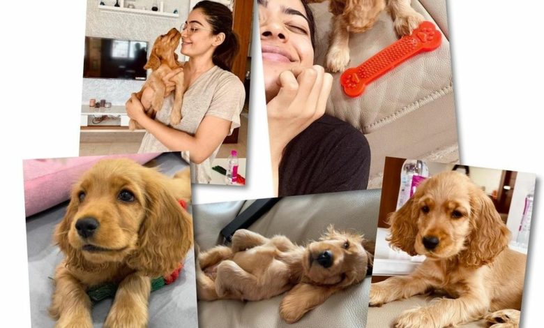 Screenshot 20210606 165130 01