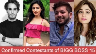 confirmed contestants of Bigg Boss 15!