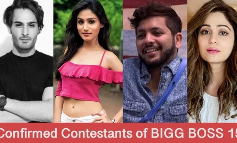 confirmed contestants of Bigg Boss 15!