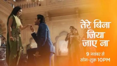 Tere Bina Jiya Jaye Na