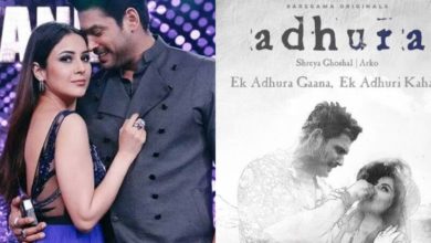 Sidharth Shukla and Shehnaaz Gill's last music