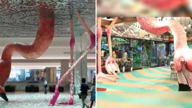 is-bigg-boss-15s-set-copied-from-matthew-m