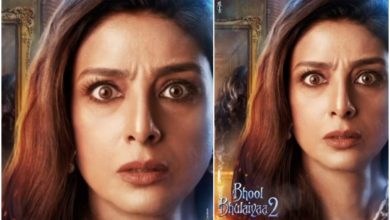Bhool Bhulaiyaa 2
