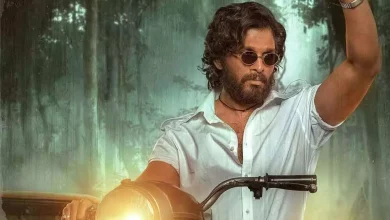 Allu Arjun's Pushpa 2