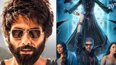 Bhool Bhulaiyaa-Kabir Singh