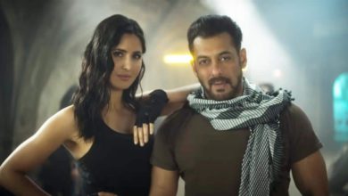 Salman Khan and Katrina Kaif's Tiger 3