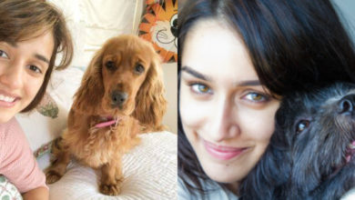 international-dog-day-2022-these-bollywood-celebs-love-their-pet-dogs-so-much
