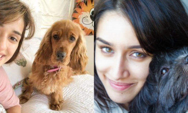 international-dog-day-2022-these-bollywood-celebs-love-their-pet-dogs-so-much