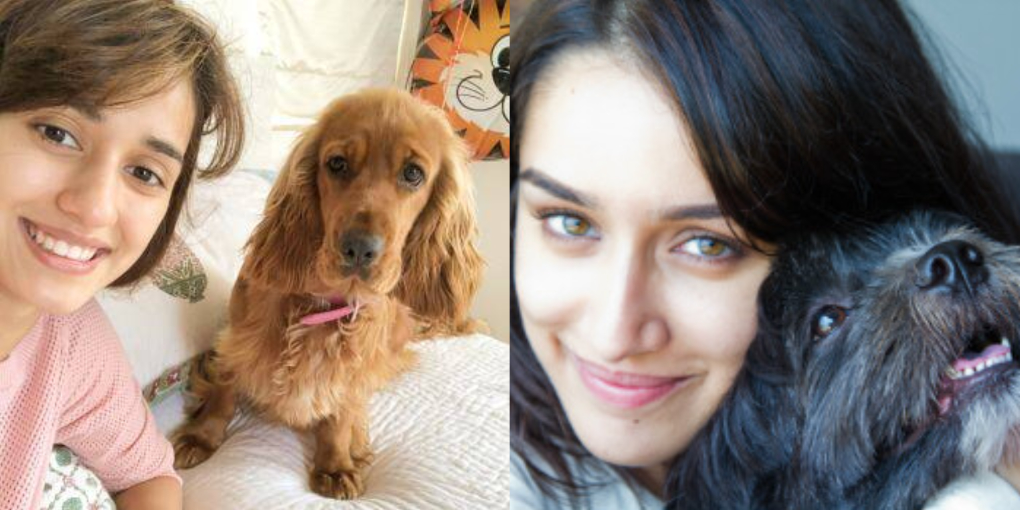 international-dog-day-2022-these-bollywood-celebs-love-their-pet-dogs-so-much
