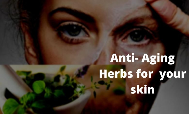 Anti-aging herbs