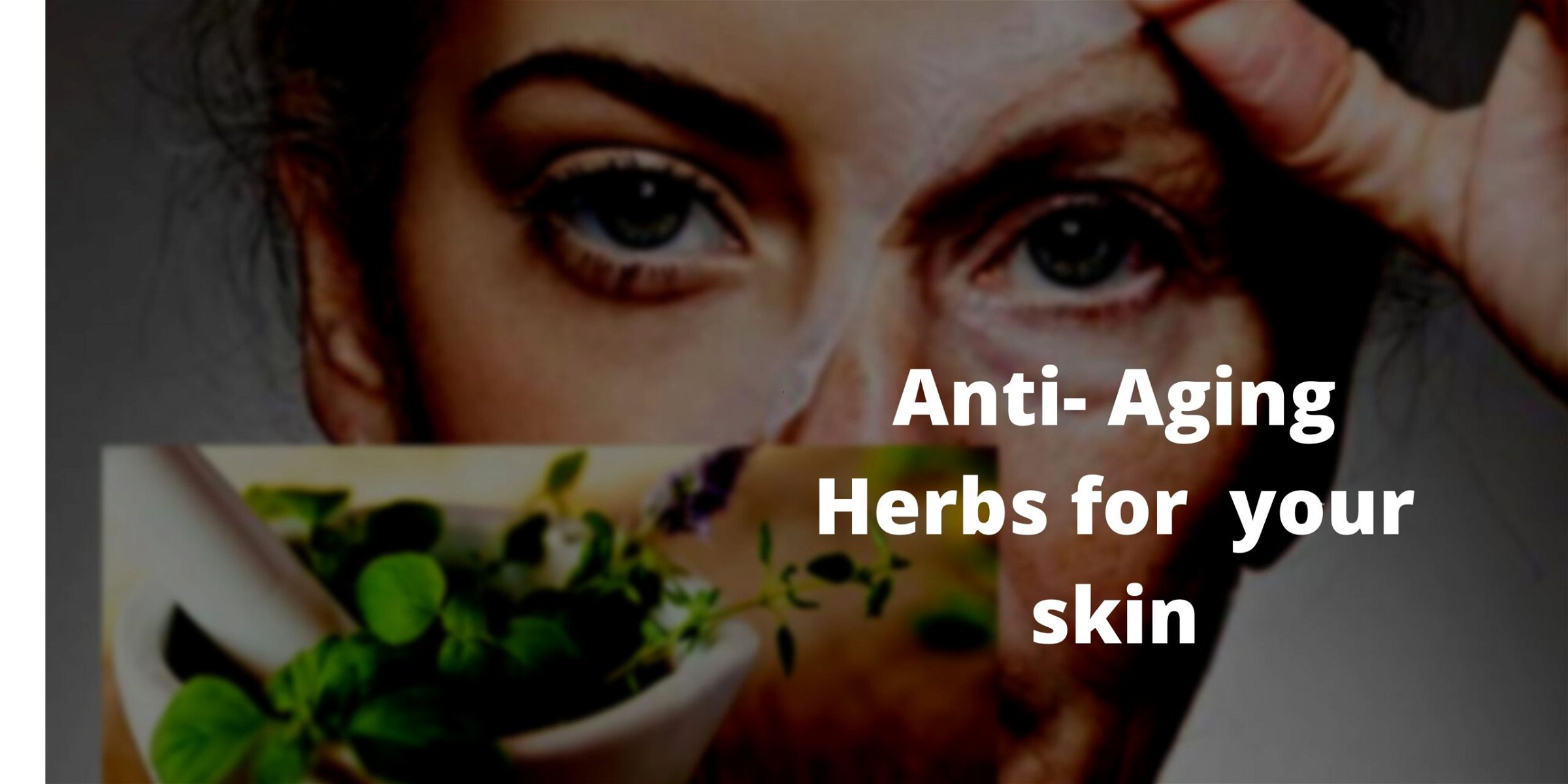 Anti-aging herbs