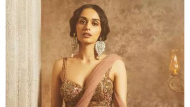 Manushi Chhillar