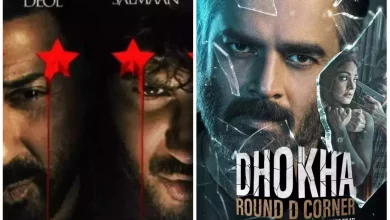 Chup Revenge of the Artist