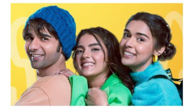 Middle-Class Love REVIEW