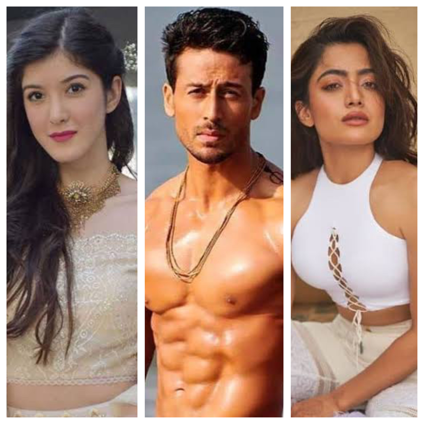 Tiger Shroff Rashmika Shanaya