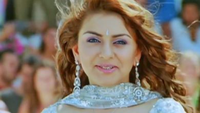 Hansika Motwani's wedding