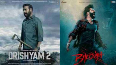 Bhediya, Drishyam 2