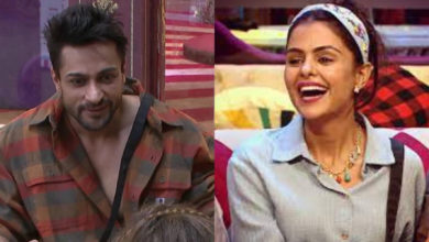 Bigg Boss 16 Priyanka Chahar Choudhary and Shalin Bhanot