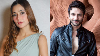 Sara Khan and Ali Merchant