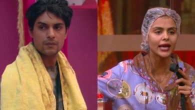 Bigg Boss 16 Ankit Gupta and Priyanka Choudhary