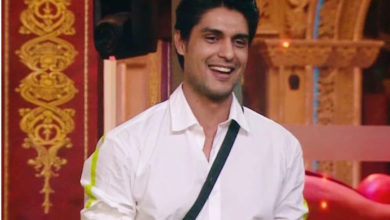 Bigg boss 16 Ankit Gupta