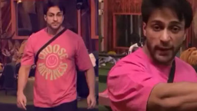 Bigg Boss 16 Shalin Bhanot