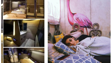 Bollywood Celebs Vanity vans