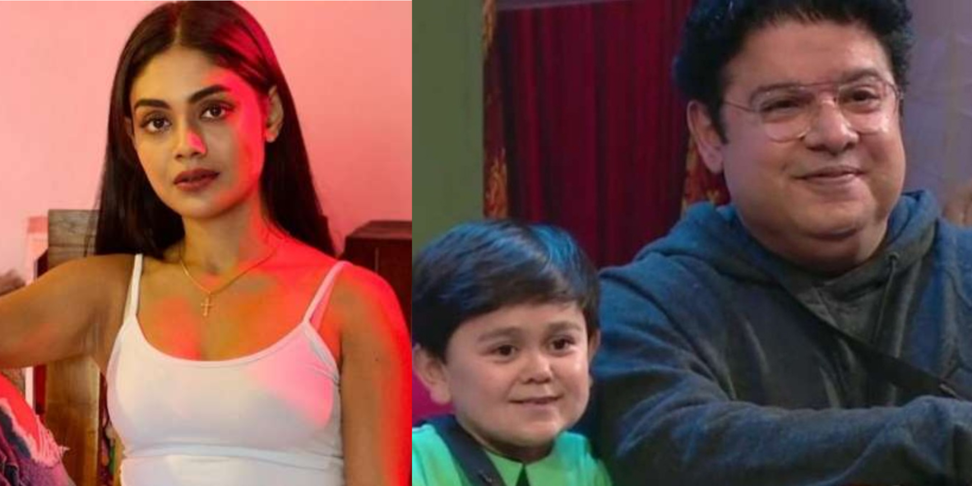 Bigg Boss 16 Sreejita De, Abdu Rozik and Sajid Khan