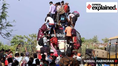 How Bheed Teaser into an object of hate and controversy, check details 6 lockdown migrants