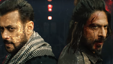 Pathaan and Tiger theme